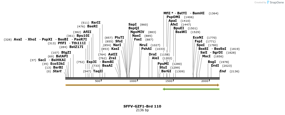 427720_map