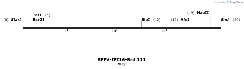 427724_map