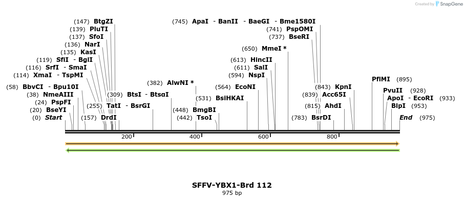427726_map