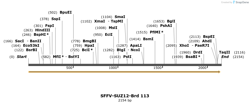 427729_map