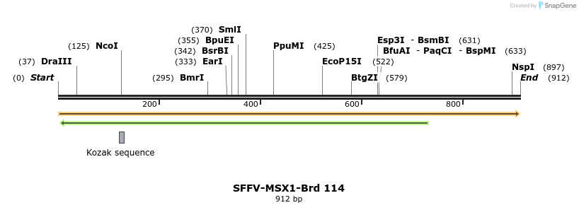 427732_map