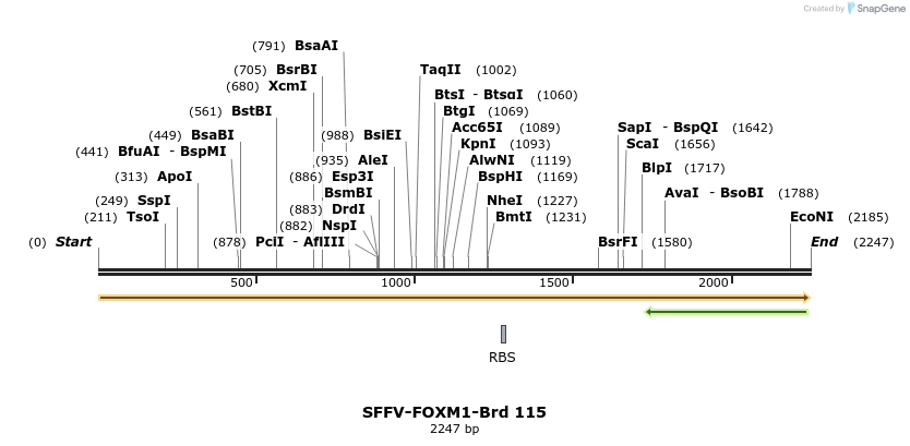 427735_map