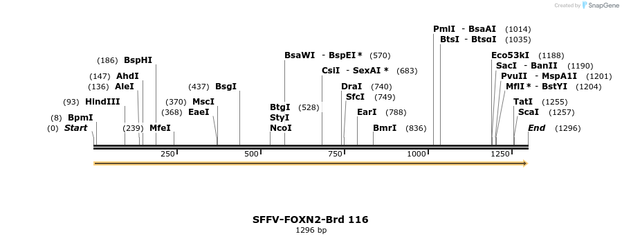 427738_map