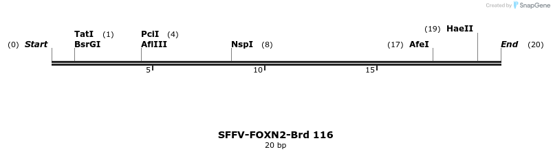 427739_map