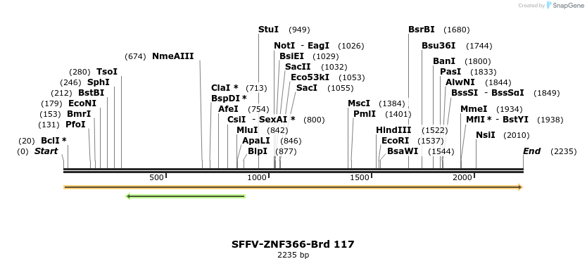 427741_map