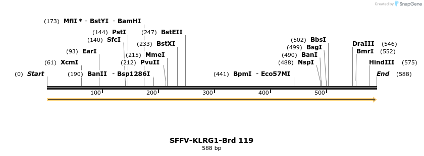 427744_map