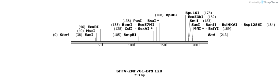 427747_map