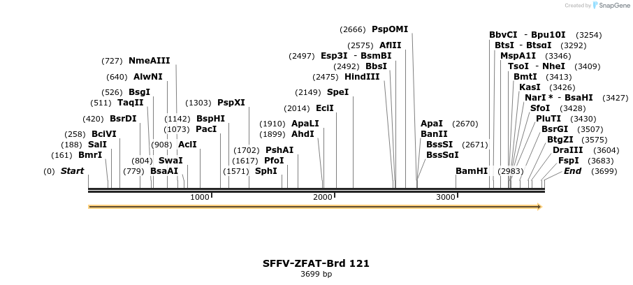 427750_map