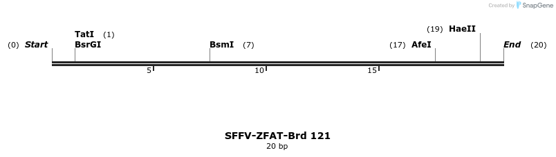 427751_map