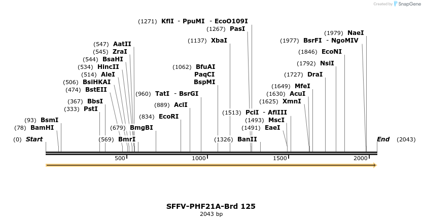 427756_map