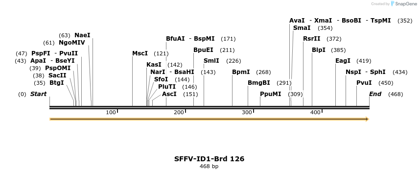 427759_map