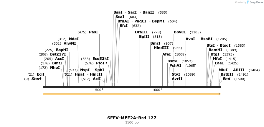 427762_map