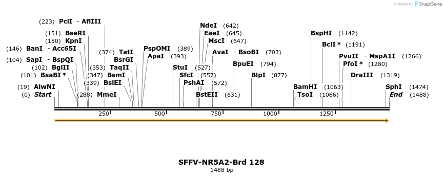 427765_map