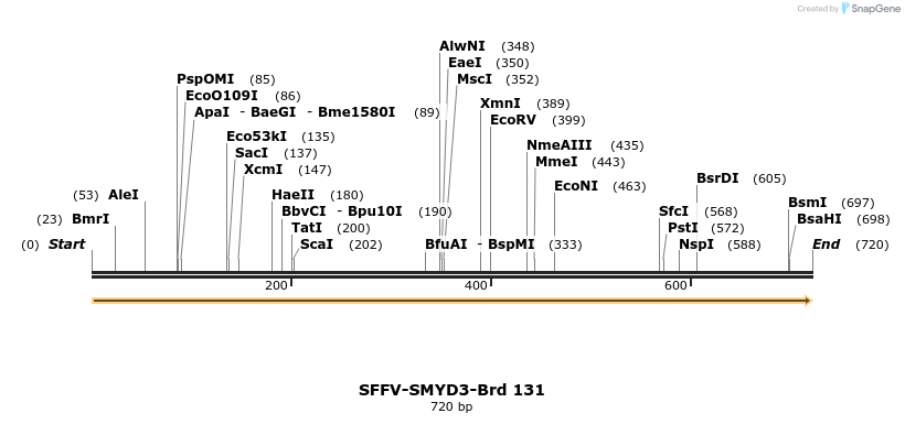 427774_map