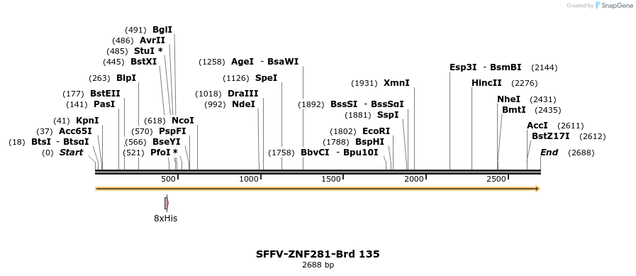 427786_map
