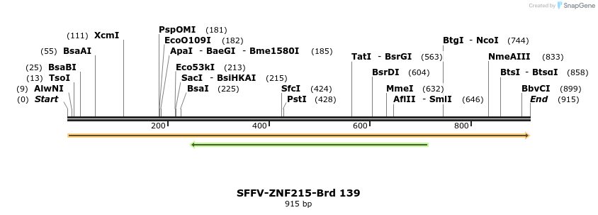 427789_map