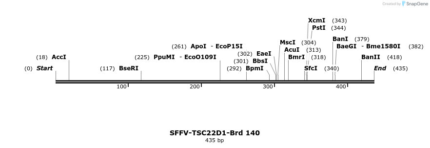 427792_map