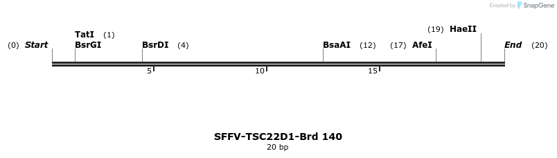 427793_map