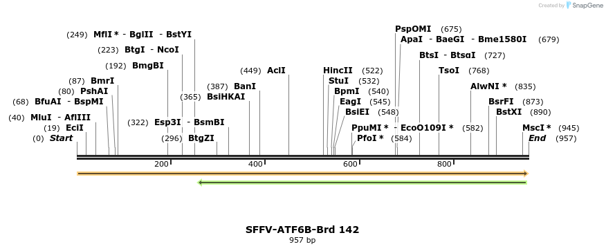 427798_map