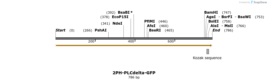42780_map