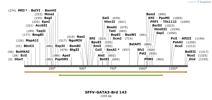 427801_map