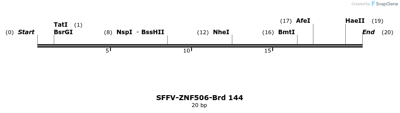 427805_map