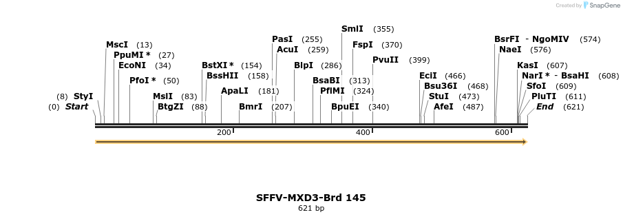 427807_map