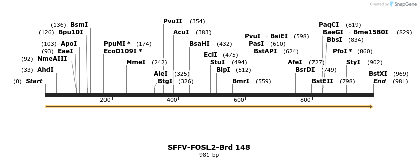 427816_map