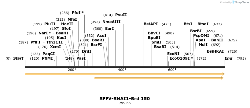 427822_map