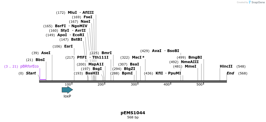 42783_map