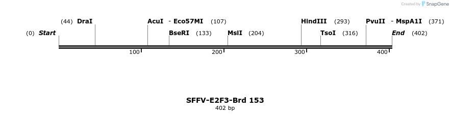 427831_map