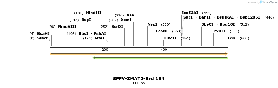 427834_map