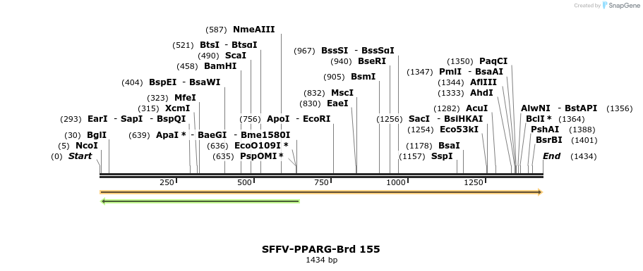 427837_map