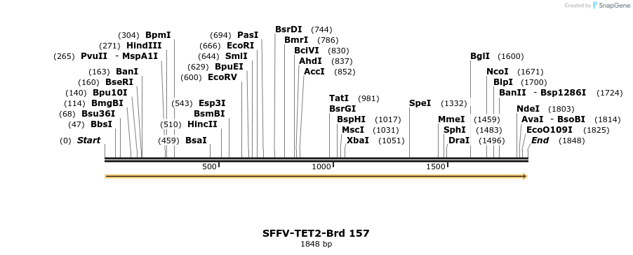 427840_map