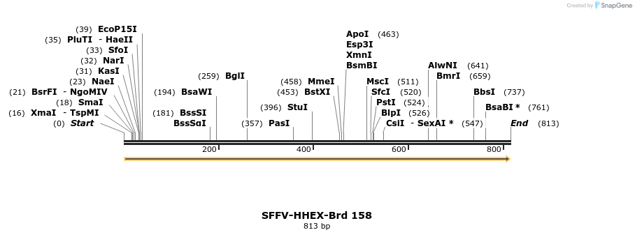 427843_map