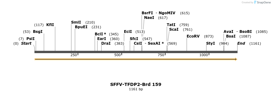 427846_map