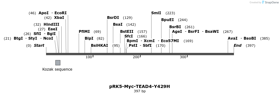 42785_map