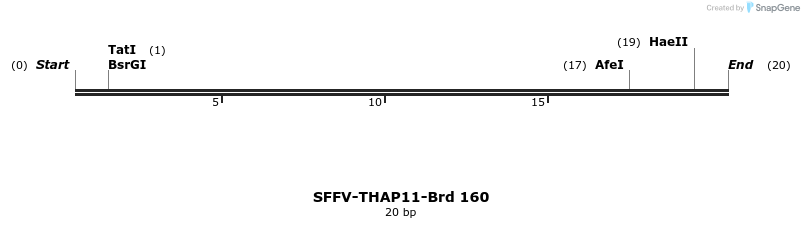 427850_map