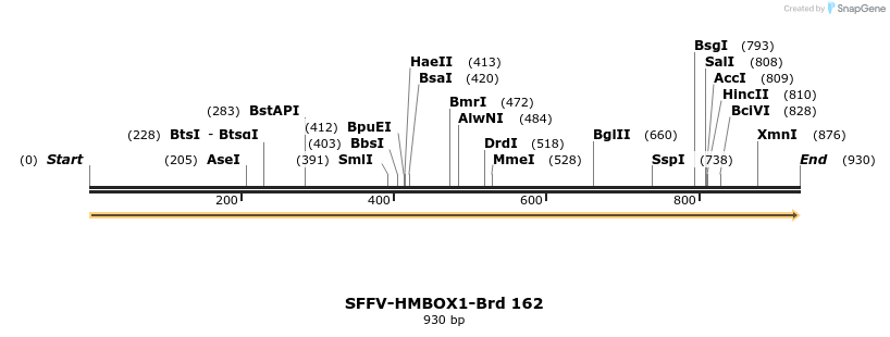 427852_map