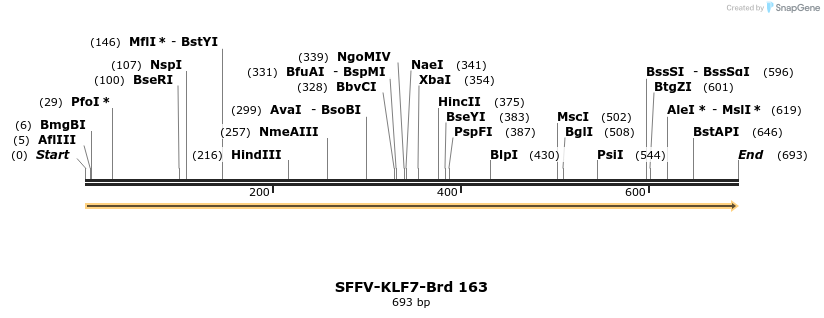 427855_map