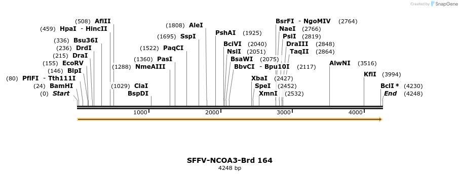 427858_map