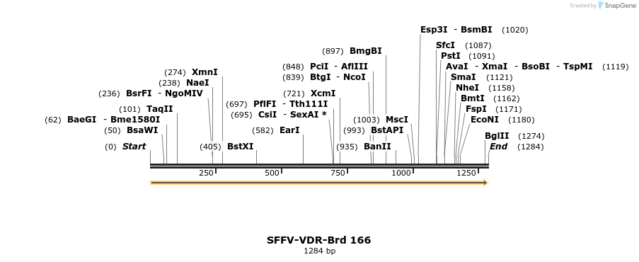 427864_map
