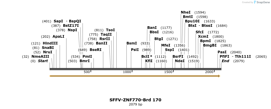 427876_map