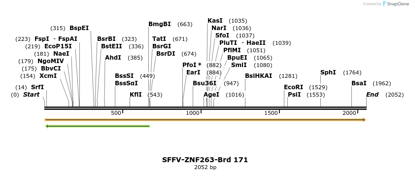 427879_map