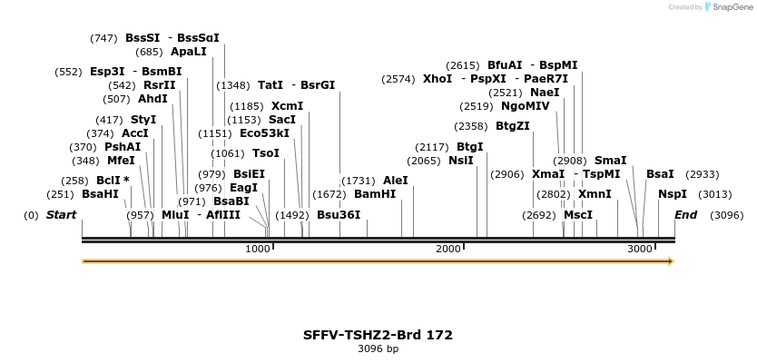 427882_map