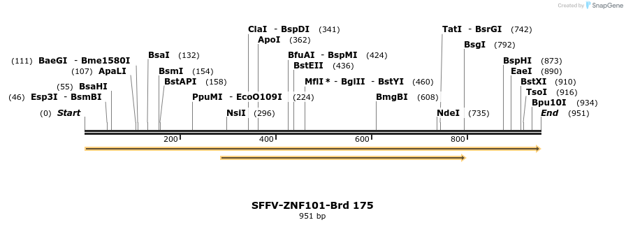 427891_map
