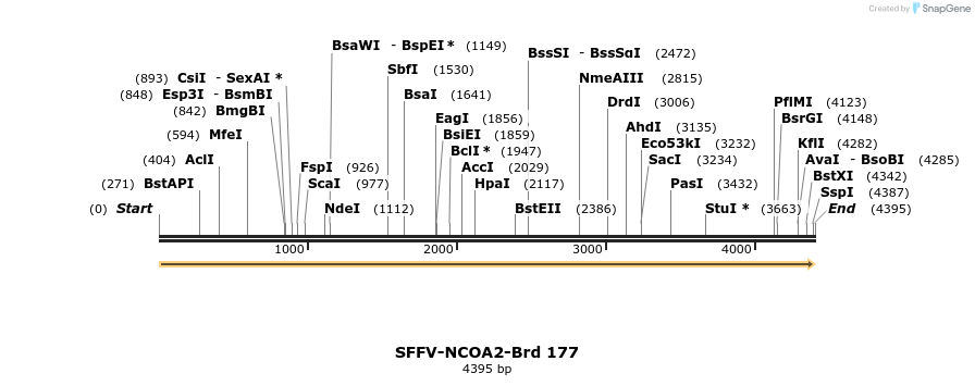 427897_map