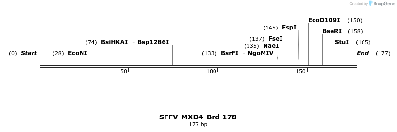 427900_map