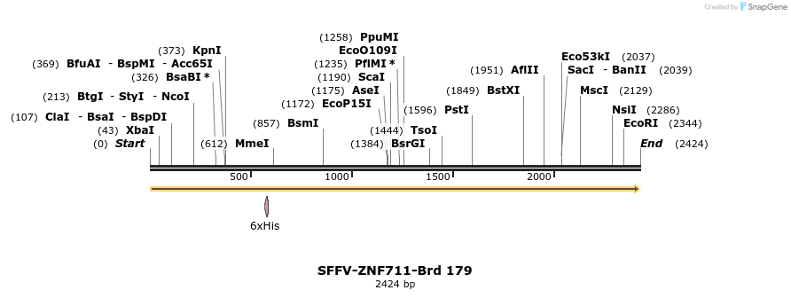 427903_map