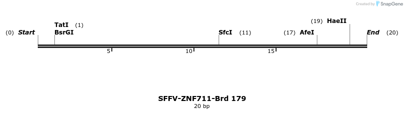 427904_map